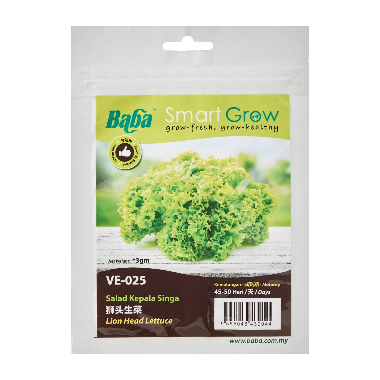 Baba Lion Head Lettuce Seeds - Steve & Leif