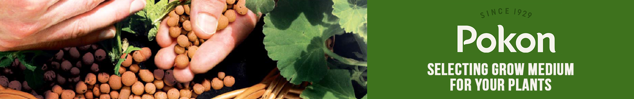 Selecting Grow Medium For Your Plants