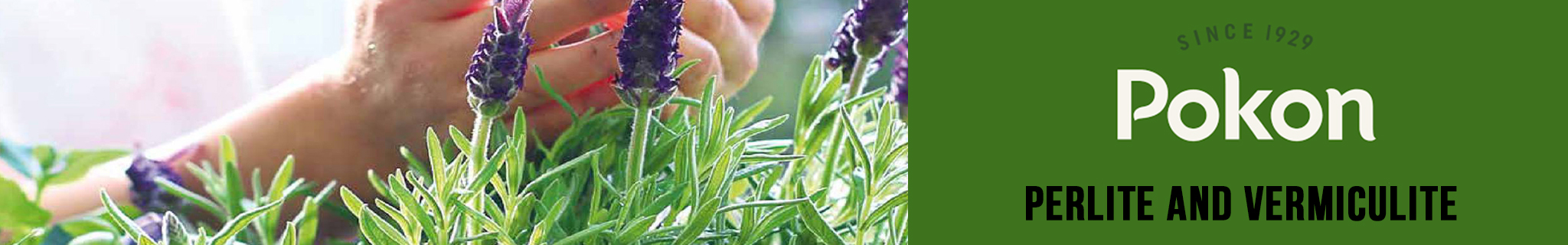 Gardening With Perlite And Vermiculite